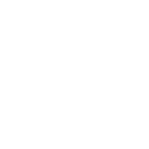 Astrid Organiseert