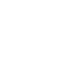 AO Logo Transparant Astrid Organiseert